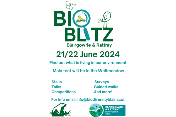 BiodiversityBlair Bioblitz